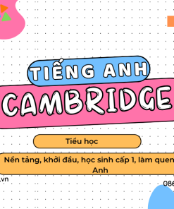 Tiếng Anh Tiểu học Cambridge